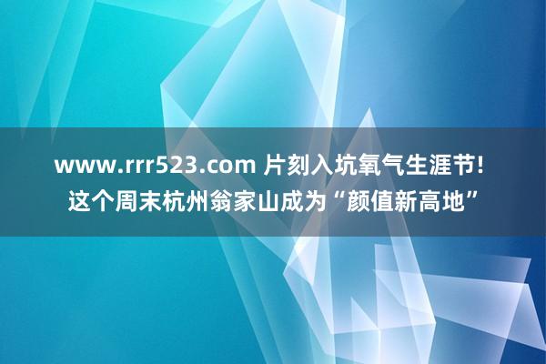 www.rrr523.com 片刻入坑氧气生涯节! 这个周末杭州翁家山成为“颜值新高地”