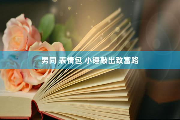 男同 表情包 小锤敲出致富路