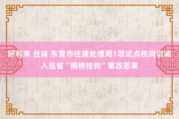 好利来 丝袜 东营市住建处理局1项试点校阅训诫入选省“揭榜挂帅”窜改恶果