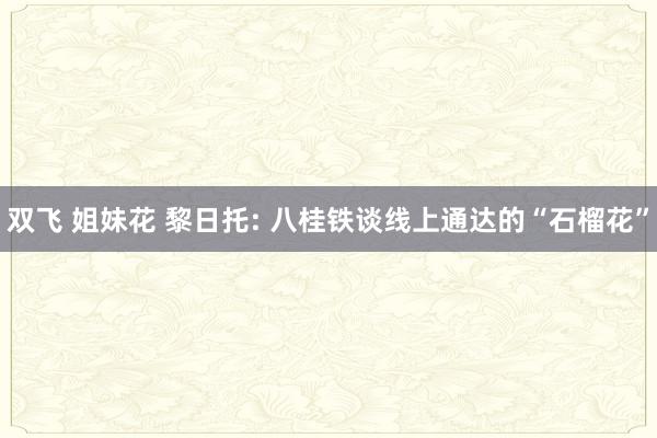 双飞 姐妹花 黎日托: 八桂铁谈线上通达的“石榴花”