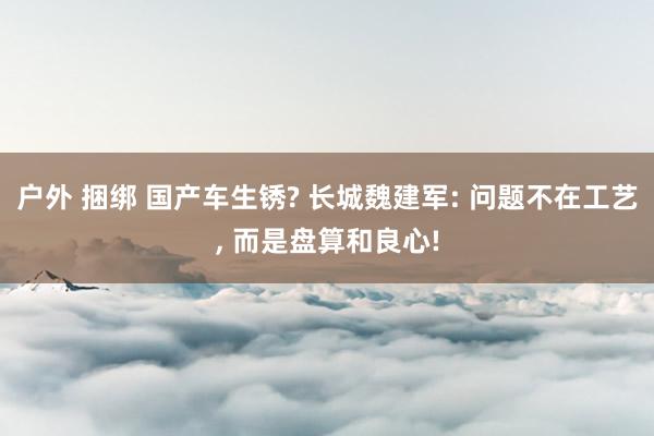 户外 捆绑 国产车生锈? 长城魏建军: 问题不在工艺, 而是盘算和良心!