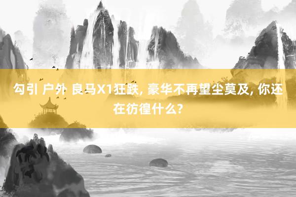 勾引 户外 良马X1狂跌, 豪华不再望尘莫及, 你还在彷徨什么?
