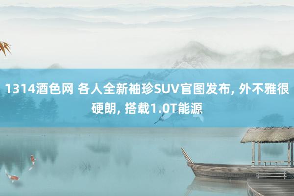 1314酒色网 各人全新袖珍SUV官图发布, 外不雅很硬朗, 搭载1.0T能源