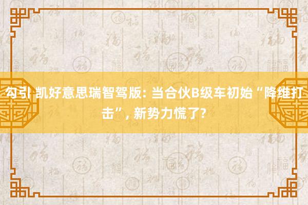 勾引 凯好意思瑞智驾版: 当合伙B级车初始“降维打击”, 新势力慌了?