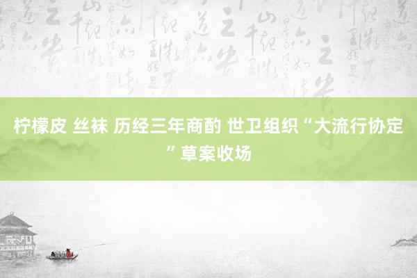 柠檬皮 丝袜 历经三年商酌 世卫组织“大流行协定”草案收场