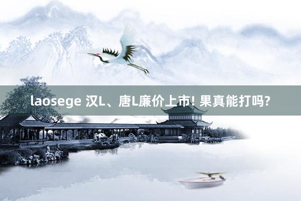 laosege 汉L、唐L廉价上市! 果真能打吗?