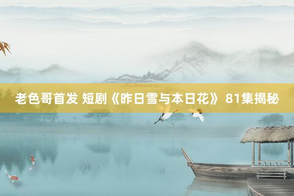老色哥首发 短剧《昨日雪与本日花》 81集揭秘
