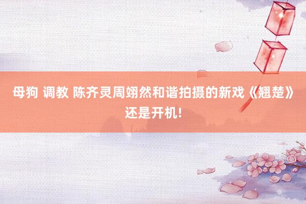 母狗 调教 陈齐灵周翊然和谐拍摄的新戏《翘楚》还是开机!