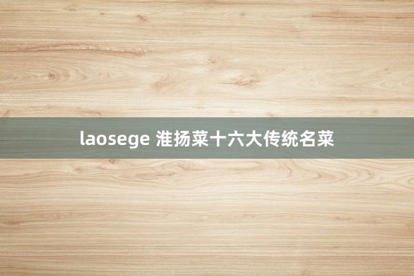 laosege 淮扬菜十六大传统名菜