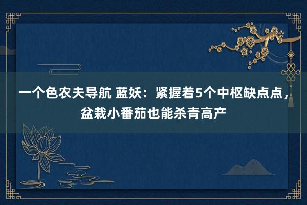 一个色农夫导航 蓝妖：紧握着5个中枢缺点点，盆栽小番茄也能杀青高产