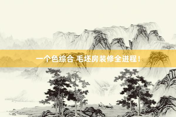 一个色综合 毛坯房装修全进程！