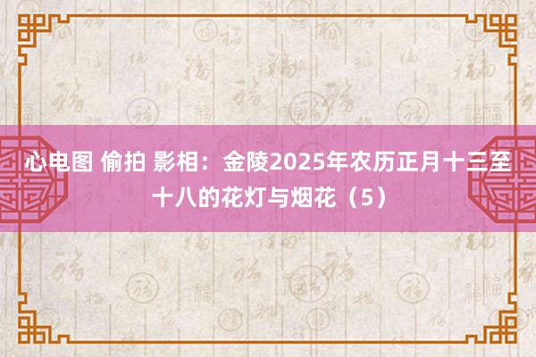 心电图 偷拍 影相：金陵2025年农历正月十三至十八的花灯与烟花（5）