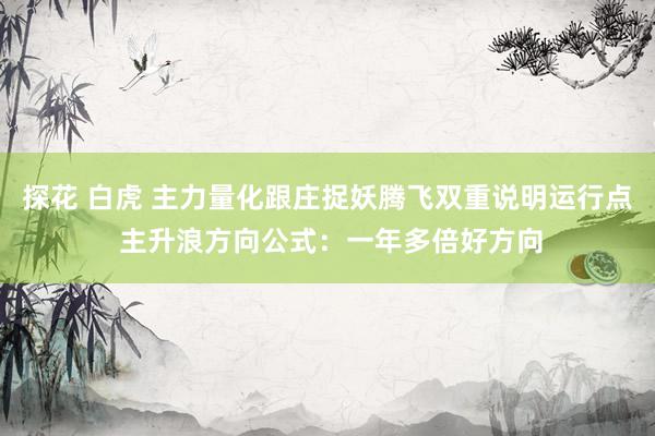 探花 白虎 主力量化跟庄捉妖腾飞双重说明运行点 主升浪方向公式：一年多倍好方向