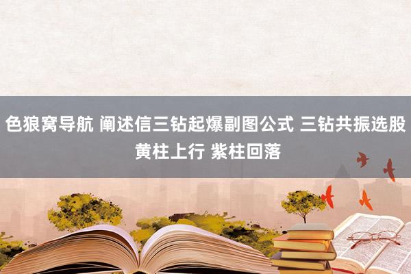 色狼窝导航 阐述信三钻起爆副图公式 三钻共振选股 黄柱上行 紫柱回落