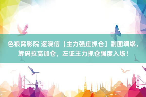色狼窝影院 邃晓信【主力强庄抓仓】副图绸缪，筹码拉高加仓，左证主力抓仓强度入场！