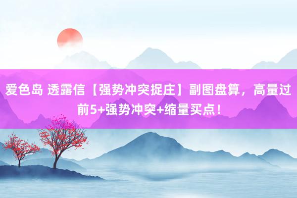 爱色岛 透露信【强势冲突捉庄】副图盘算，高量过前5+强势冲突+缩量买点！