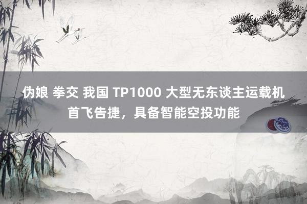 伪娘 拳交 我国 TP1000 大型无东谈主运载机首飞告捷，具备智能空投功能