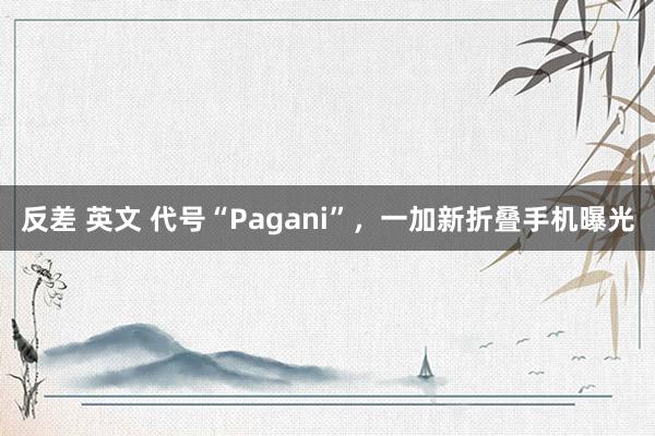 反差 英文 代号“Pagani”，一加新折叠手机曝光